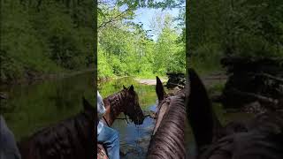 Whitewater Memorial Trail Ride [upl. by Thorsten]