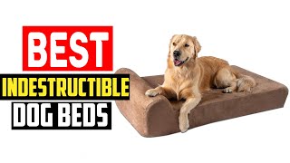 ✅Top 5 Best Indestructible Dog Beds in 2024 [upl. by Line159]