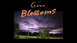 Gin Blossoms amp Minnesota Lightning Storm [upl. by Lauder958]