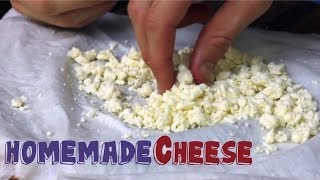 Worlds EASIEST Homemade CHEESE recipe 3 Ingredients [upl. by Dde44]