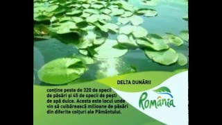 Delta Dunării DANUBE DELTA Romania [upl. by Arsuy]