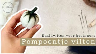 Naaldvilten voor beginners  Pompoentje naaldvilten [upl. by Casper574]