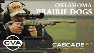 Prairie Dog Population Control  CVA Cascade Varmint Hunter 22250 [upl. by Pleione287]