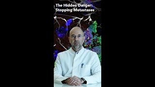 Prostate Cancers Hidden Danger How to Stop Metastases shorts prostatecancer [upl. by Aniale554]