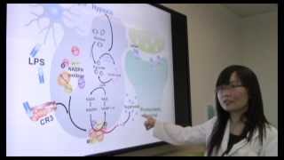 LongTerm Synaptic Depression Triggered by Microglia [upl. by Naira]