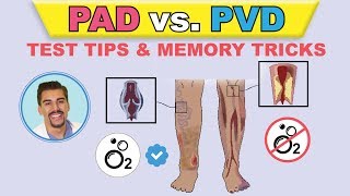 PAD vs PVI cartoon animation amp memory tricks peripheral arterial disease pathophysiology signs [upl. by Revorg777]