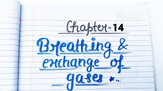 Breathing and Exchange of Gases  Short Notes  Class 11 Biology Handwritten notes biology [upl. by Abigale262]