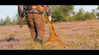 Rote Böcke Lila Heide  Jagen fürs Herz [upl. by Nhor]