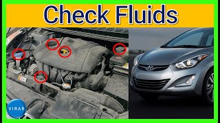 How to Check and Fill Fluids COMPLETE GUIDE  Hyundai Elantra 20112016 [upl. by Fakieh]