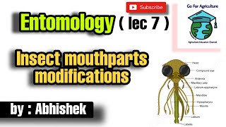 Mouthparts modifications  Insect mouth  Agriculture  Entomology lec 7  Go For Agriculture [upl. by Ateekal]