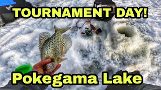 Ice Fishing Crappies  TOURNAMENT DAY  Pokegama Lake [upl. by Possing]