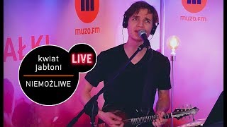 Kwiat Jabłoni  Niemożliwe live MUZOFM [upl. by Burrell]