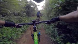 Cycling in Delhi  Asola Wildlife Sanctuary [upl. by Neirbo113]