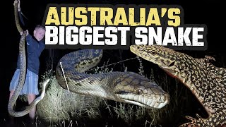 FINDING AUSTRALIAS BIGGEST SNAKE amp RARE LIZARDS  SCRUB PYTHON  HERPING CAIRNS EP 4 [upl. by Yun]