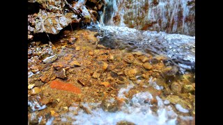 Nacimiento de nuestra quebrada [upl. by Alphonsa]