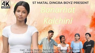 Banarhaat Kalchini  New Nagpuri Videos2024  Remix By Dj Sudip Babu [upl. by Terryn]