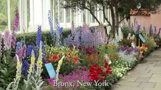 Groundbreakers at the New York Botanical Garden [upl. by Auqenahc]