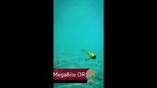 MegaBite DR [upl. by Crespo]