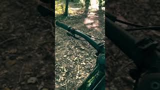 Canyon Torque CF7 Mullet edit🥶🔥canyontorque canyon mtb [upl. by Kant842]