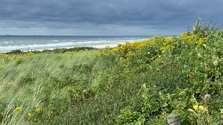 Kijkduin aan zee Westduinpark  meditatief [upl. by Ahtnams]