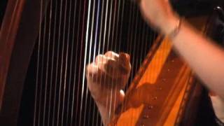 Celtic Harp at Lorient 2008 2 [upl. by Obocaj]