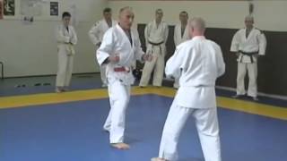 Les 20 techniques Jujitsu [upl. by Klimesh630]