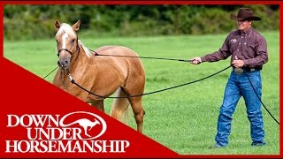 Clinton Anderson Training a Rescue Horse Part 1  Downunder Horsemanship [upl. by Onig]