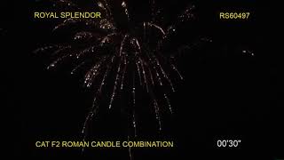 Royal Splendor by Skycrafter Fireworks fireworkcrazy [upl. by Luemas]