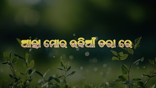 Aaha Mor Udian Tara  Umakant Barik Old Sambalpuri Song [upl. by Susanne]