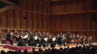 Brahms Symphony No 4  4th Movement [upl. by Millisent969]