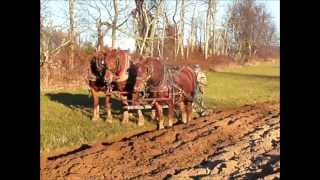 Fall Plowing 2012 with GCS music [upl. by Supmart946]