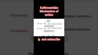 sulfonamides mechanism of actionpharmacology physiology [upl. by Ninahs]