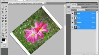 Photoshop CS5 Tutorial The Rotate View Tool Adobe Training Lesson 143 [upl. by Janella]