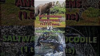 Saltwater Crocodile VS Arctotherium Angustidens crocodile bear prehistoric paleontology shorts [upl. by Sterner276]