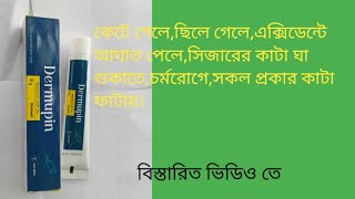 Dermupin Ointment এর কার্যকারিতা ও ব্যবহারবিধি [upl. by Cowden]