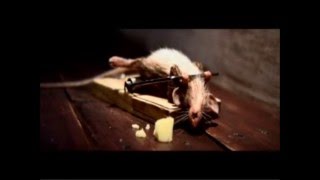 The Best Cheese Commercial Ever [upl. by Urata]