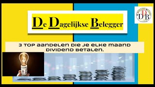 3 top aandelen die je maandelijks 100 dividend betalen 29102024 [upl. by Kcerb]