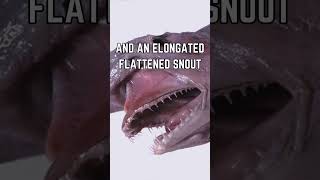 🦈 Into the Abyss Unveiling the Mystery of the Goblin Shark [upl. by Vowel]