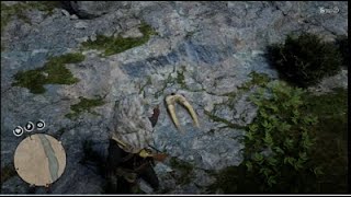 Red Dead Redemption 2  Dinosaur Bone 7 Kamassa River [upl. by Mishaan928]