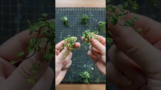 Amazing Creative Miniature Art artist creative art [upl. by Oidualc]