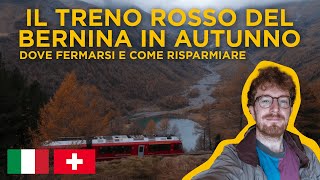 Il trenino ROSSO del BERNINA in autunno  tappe più belle e come risparmiare [upl. by Key]