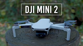 DJI  Meet DJI Mini 2 [upl. by Lyn]