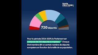 Comprendre le fonctionnement du Parlement européen [upl. by Oivalf]