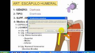 2 Articulación escápulo humeralavi [upl. by Llerreg]