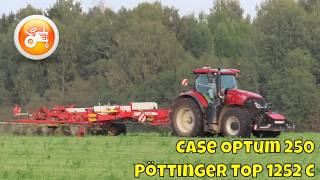 Silage 2024  Case Optum 250 amp Pöttinger TOP 1252 C 4 rotor rake [upl. by Aicele271]