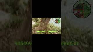 White sandalwood santalum variety greenenvironment farming youtubeshorts YouTube [upl. by Eng854]