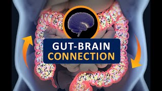 Digestive Issues and Diseases and even Mood Linked to Enzymes From Gut Bacteria [upl. by Hayes58]