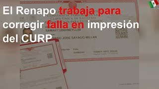 Renapo trabaja para corregir falla en impresión del CURP [upl. by Izogn]