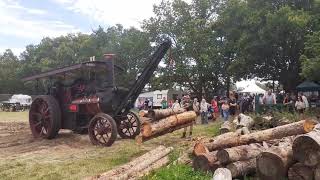 Weeting steam Rally 2024 log cutting display [upl. by Martelle]