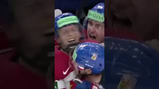 Češi jsou mistři světa v ledním hokeji 🏒🥇 hockey hokej victory [upl. by Ylas]